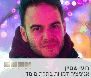 רועי שטיין