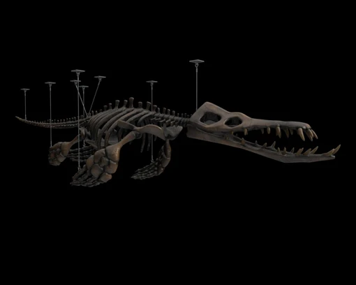 Model Pliosaur